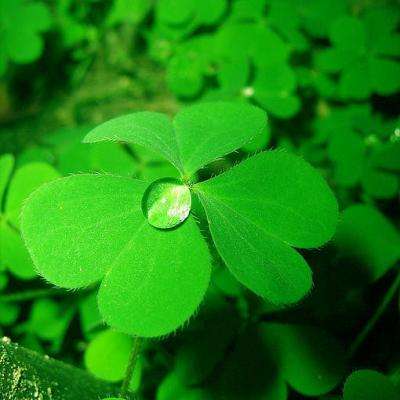 5848vip威尼斯电子游戏手机app下载